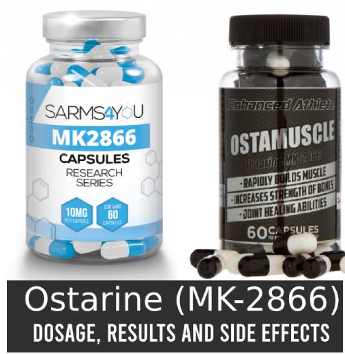 Ostarine - Best SARMS